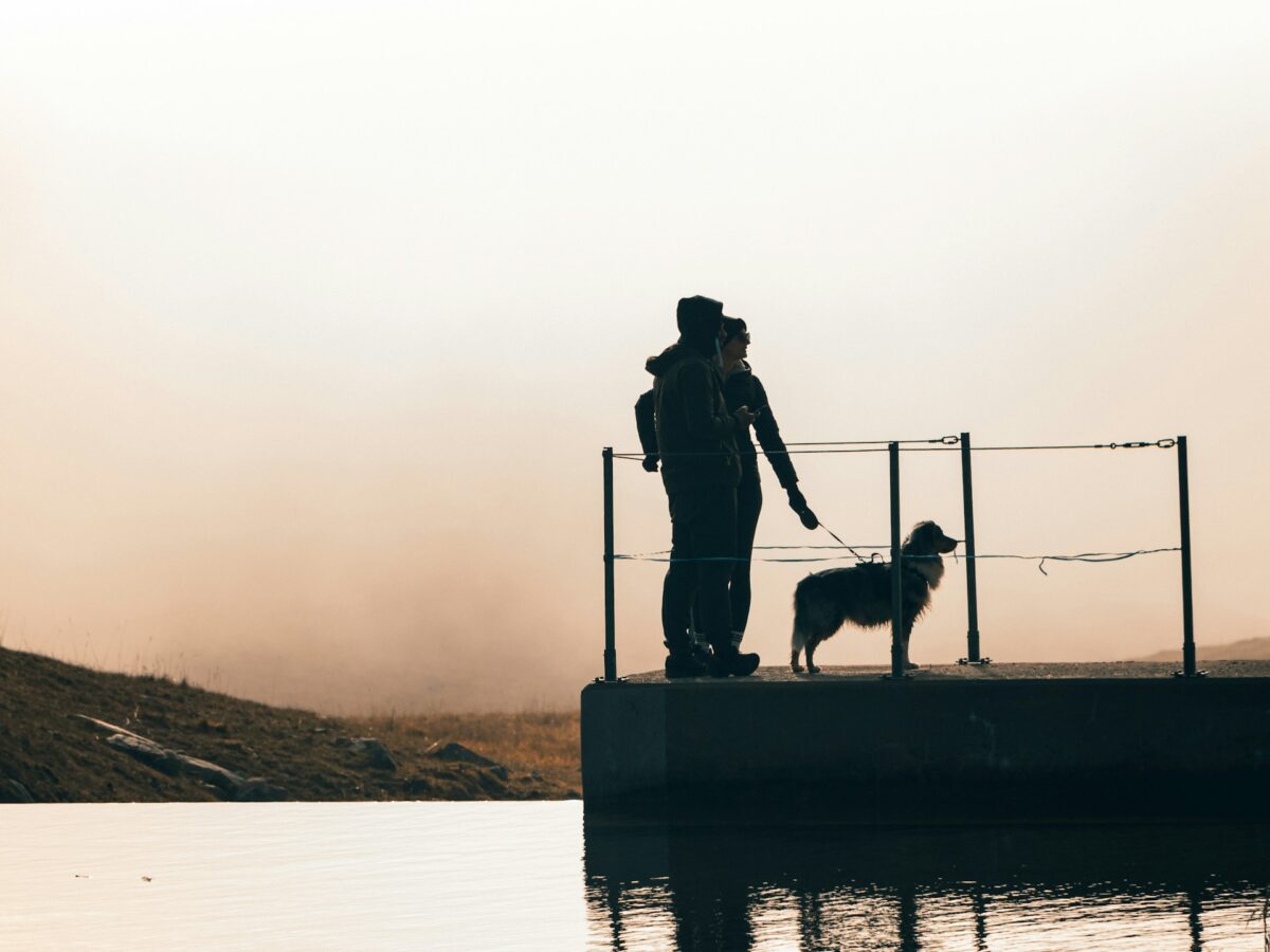 Traveling with Pets Made Easy with Michael Savage