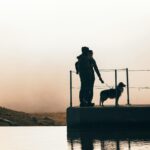 Pet Friendly Road Trips