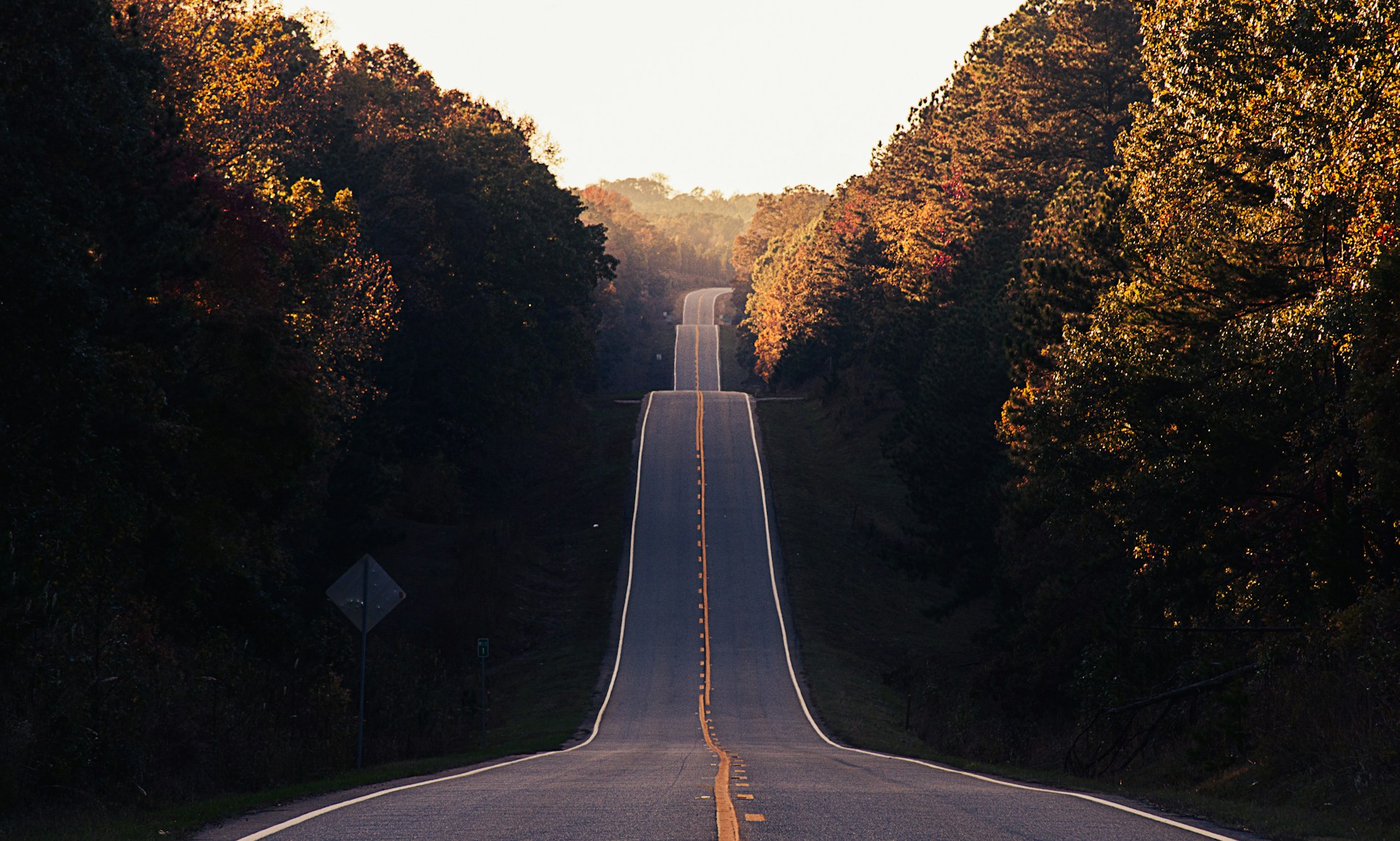 Road Trips 