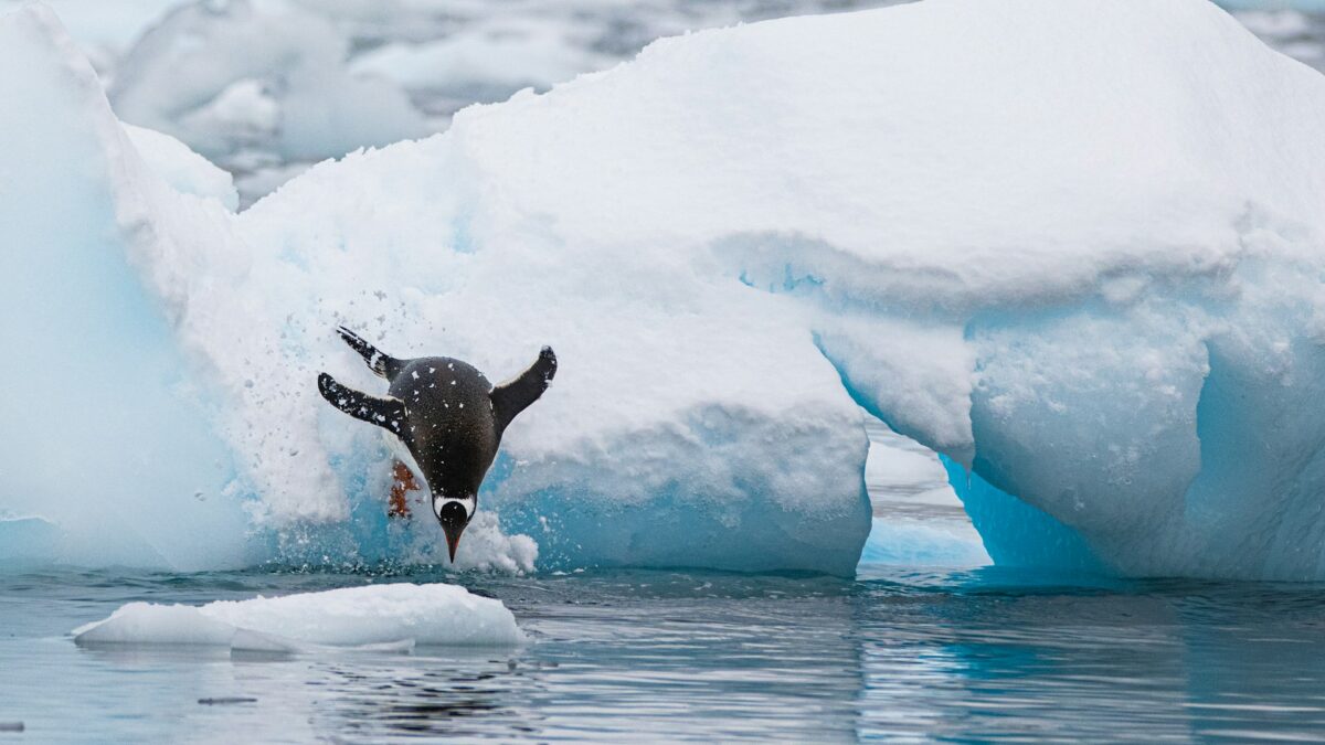 Beneath the Ice: Discovering Antarctica’s Hidden World