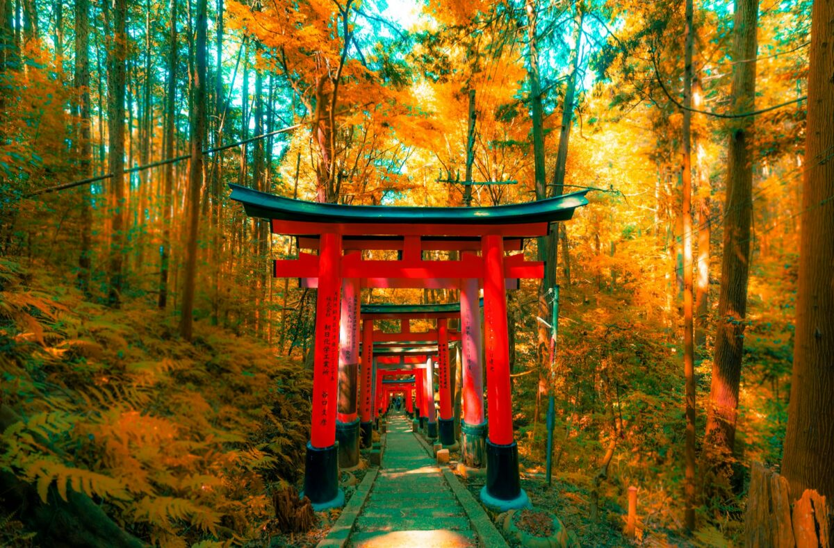 Japan’s Autumn
