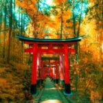 Japan’s Autumn